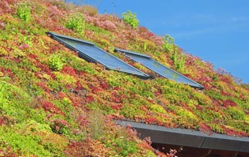 Sheriff Hutton living roof systems