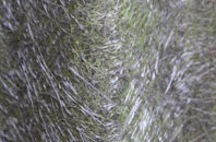 Sheriff Hutton fibreglass roof work